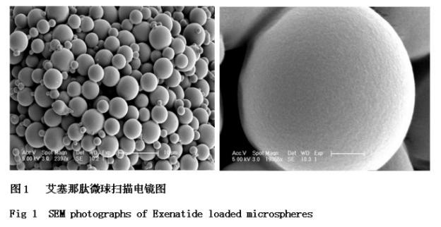 微球類緩控釋制劑