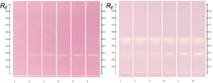 HPTLC (高效薄層色譜) 蜂蜜檢測(cè)-快速評(píng)估抗氧化活性