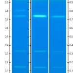 根據(jù) HPTLC 分離色譜結(jié)果，可推測未知組成的制劑樣品配方組成