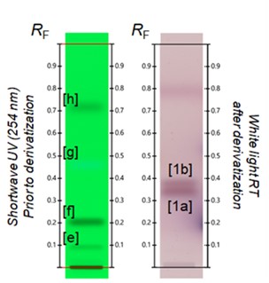 UHM 成分的預(yù)測區(qū)間